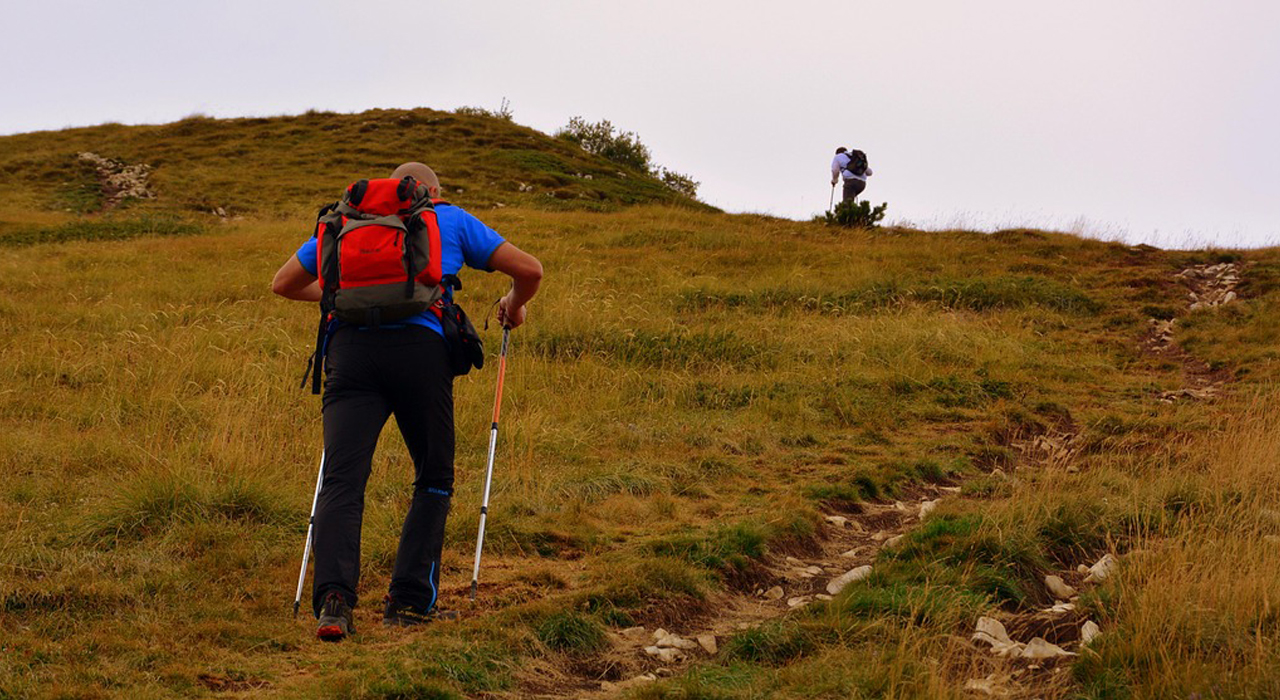 Sender entre muntanyes i bosc